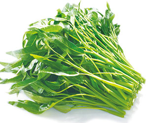 空心菜种植网